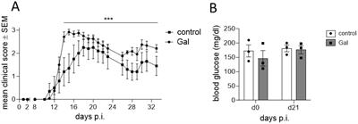 Dietary galactose exacerbates autoimmune neuroinflammation via advanced glycation end product-mediated neurodegeneration